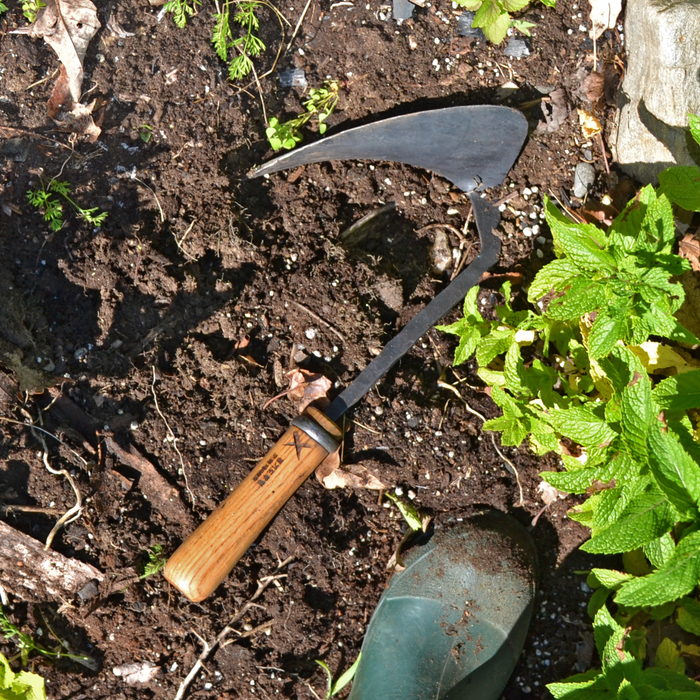 Hand-forged large weeding hoe with a curved dark steel blade and wooden handle, resting in freshly turned garden soil beside green herbs in bright outdoor sunlight.