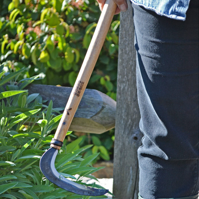 Hand using a hand-forged long sickle with a curved dark steel blade and wooden handle to harvest or trim leafy garden plants in bright outdoor sunlight.