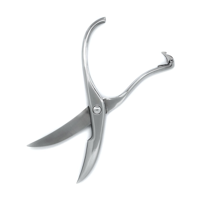 IC Design, Antonia Campi Poultry Shears, Knives & Shears, Antonia Campi,