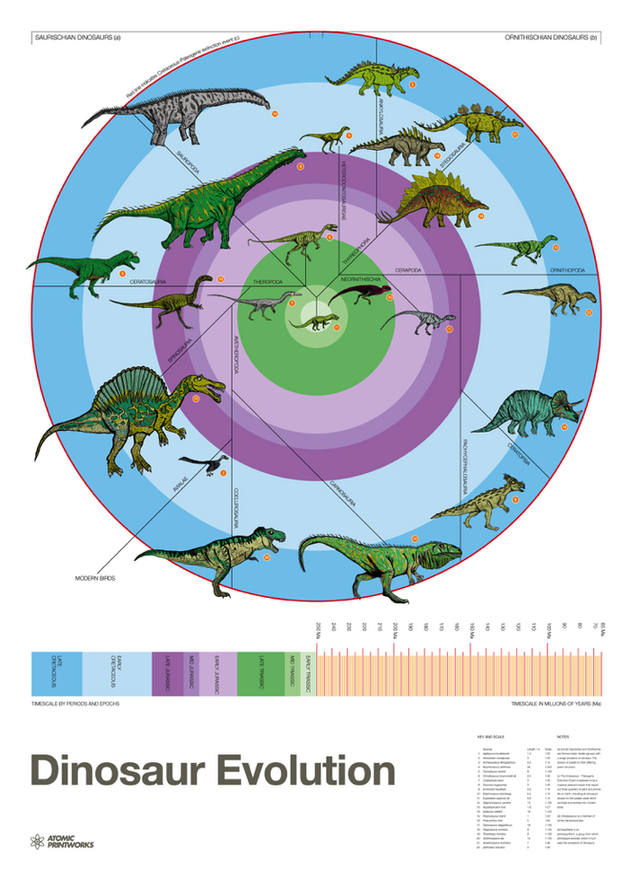 Atomic Printworks, Dinosaur Evolution Poster, Decorative,
