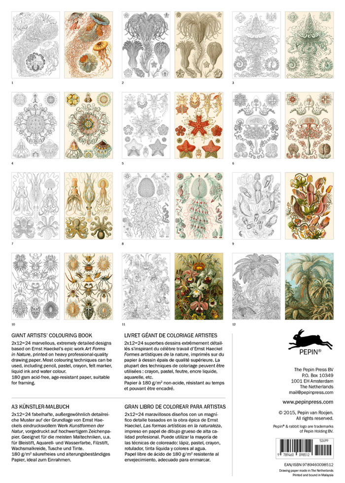 Pepin, Giant Artist's Coloring Books, Coloring,