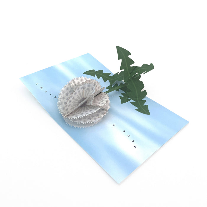 Open 3D pop-up greeting card featuring a white dandelion with green leaves on a soft blue sky background, delicate botanical paper art card for nature lovers and special occasions.