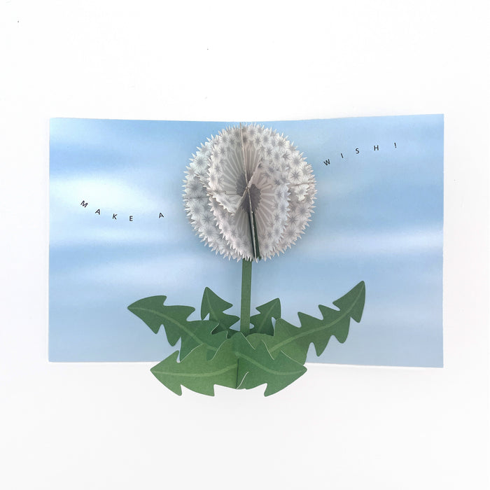 Open 3D pop-up greeting card featuring a white dandelion on a soft blue sky background with green leaves and the words “Make a Wish,” delicate botanical paper art for birthdays and special occasions.